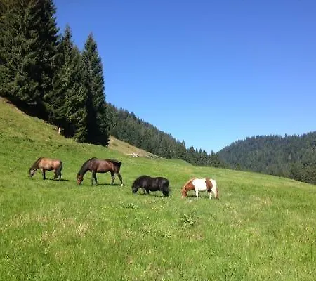 Lejlighed Ferienwohnung-aurikel