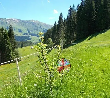 Ferienwohnung-aurikel * Riezlern