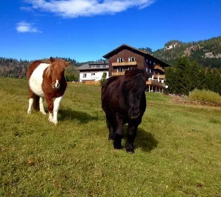 Ferienwohnung-aurikel *